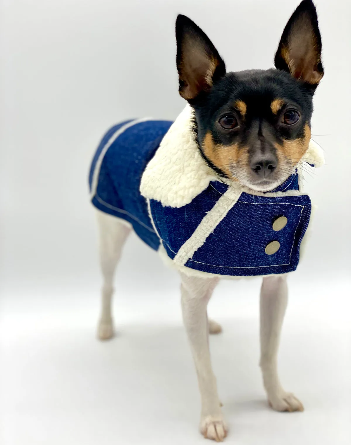 DCNY Sherpa Lined Denim Ranch Coat